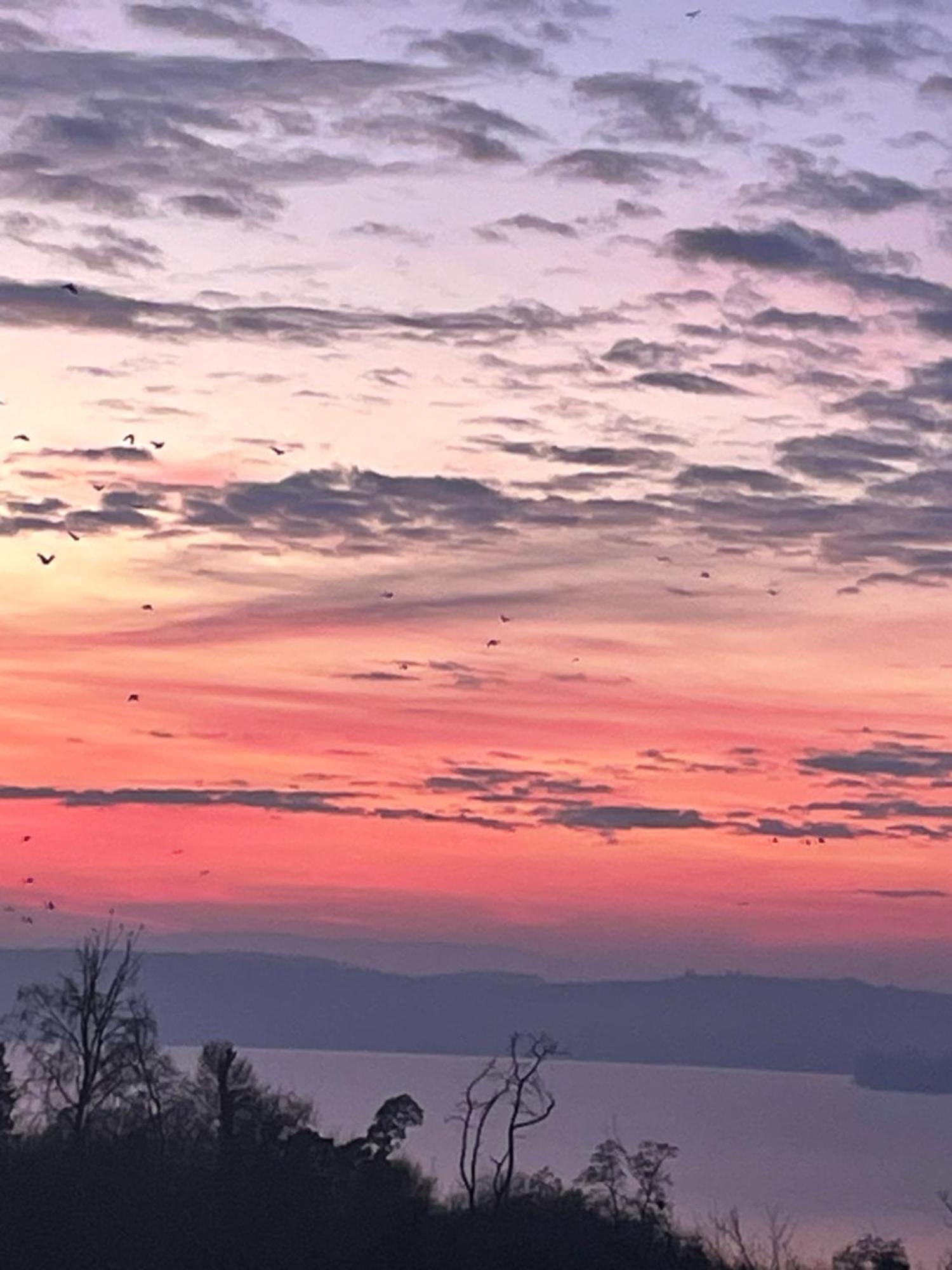 Ferienwohnung Urban - Ahorn -- Meersburg Dış mekan fotoğraf